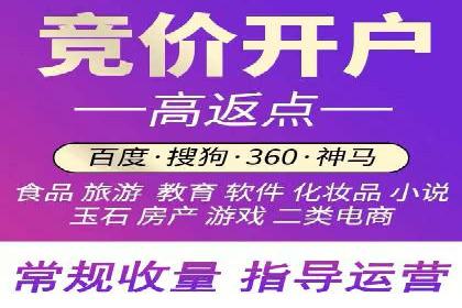 某公司信息流广告的精准投放与效果评估